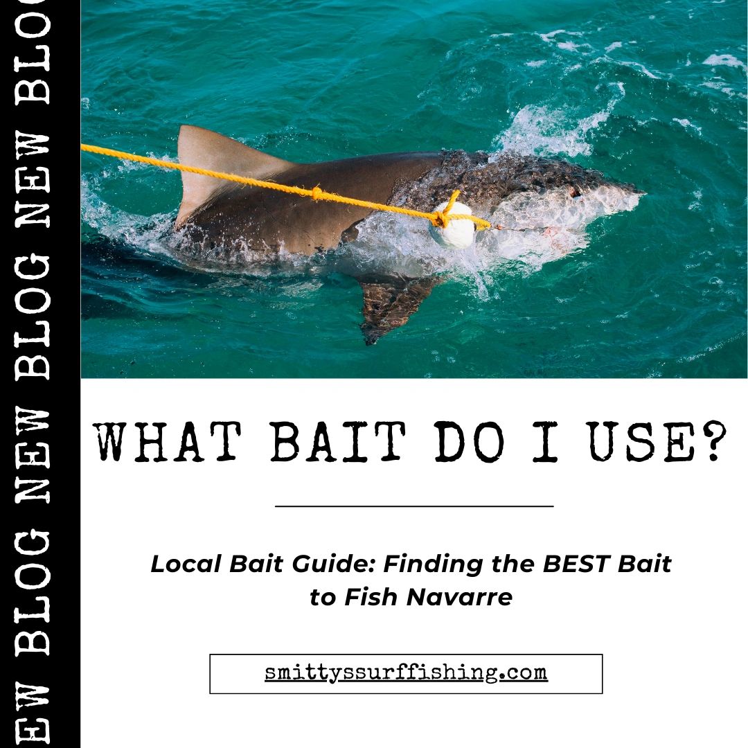 Local Bait Guide: Finding the Best Baits for Fishing Navarre