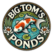 Big Tom's Ponds
