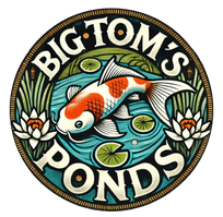 Big Tom's Ponds
