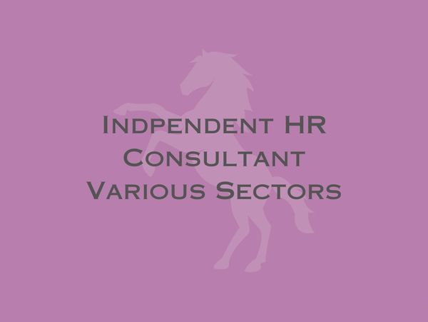 Independent HR consultant serving various sectors with expertise.
