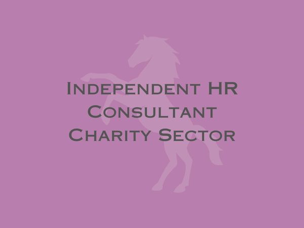 Purple background with text about an independent HR consultant for the charity sector.