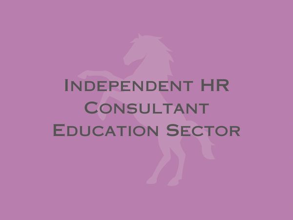 Text on a purple background with a horse silhouette about an independent HR consultant in education.