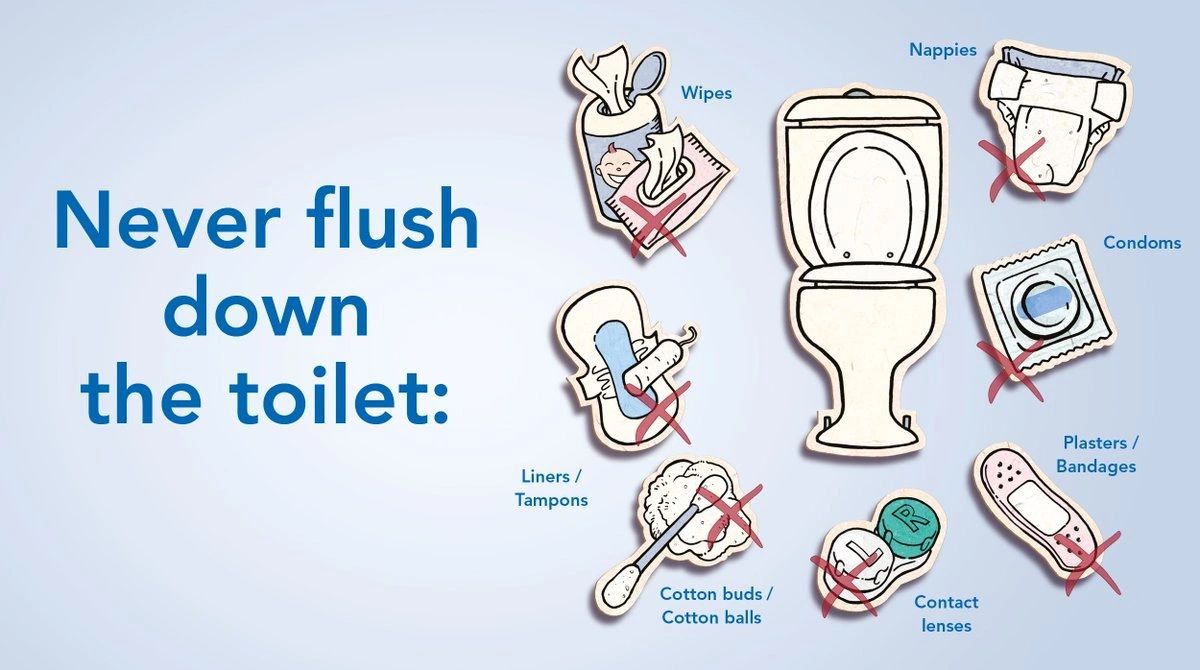 What Should not You Flush down in your toilet?