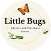 Little Bugs Daycare and Preschool