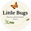 Little Bugs Daycare and Preschool