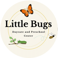 Little Bugs Daycare and Preschool