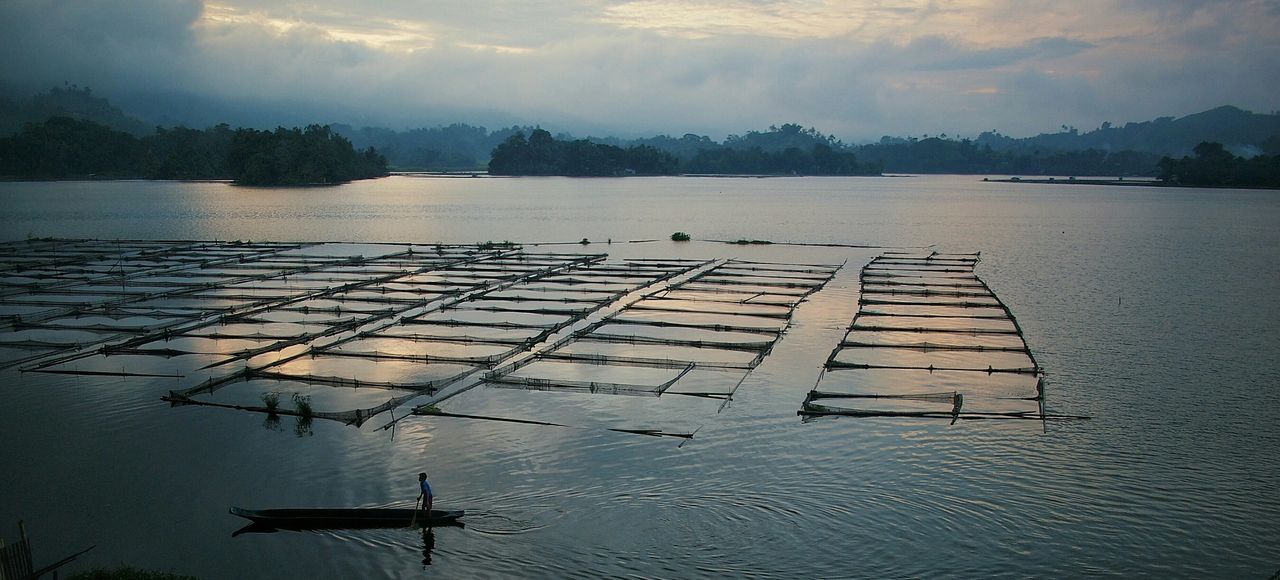 Oyster farm