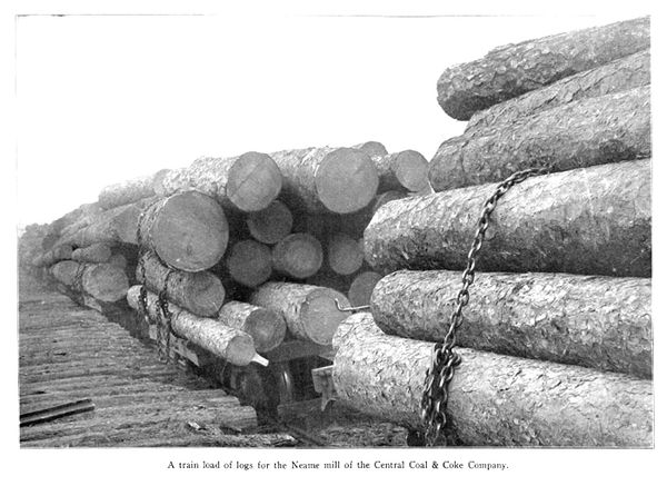 Logs at the sawmill town of Neame