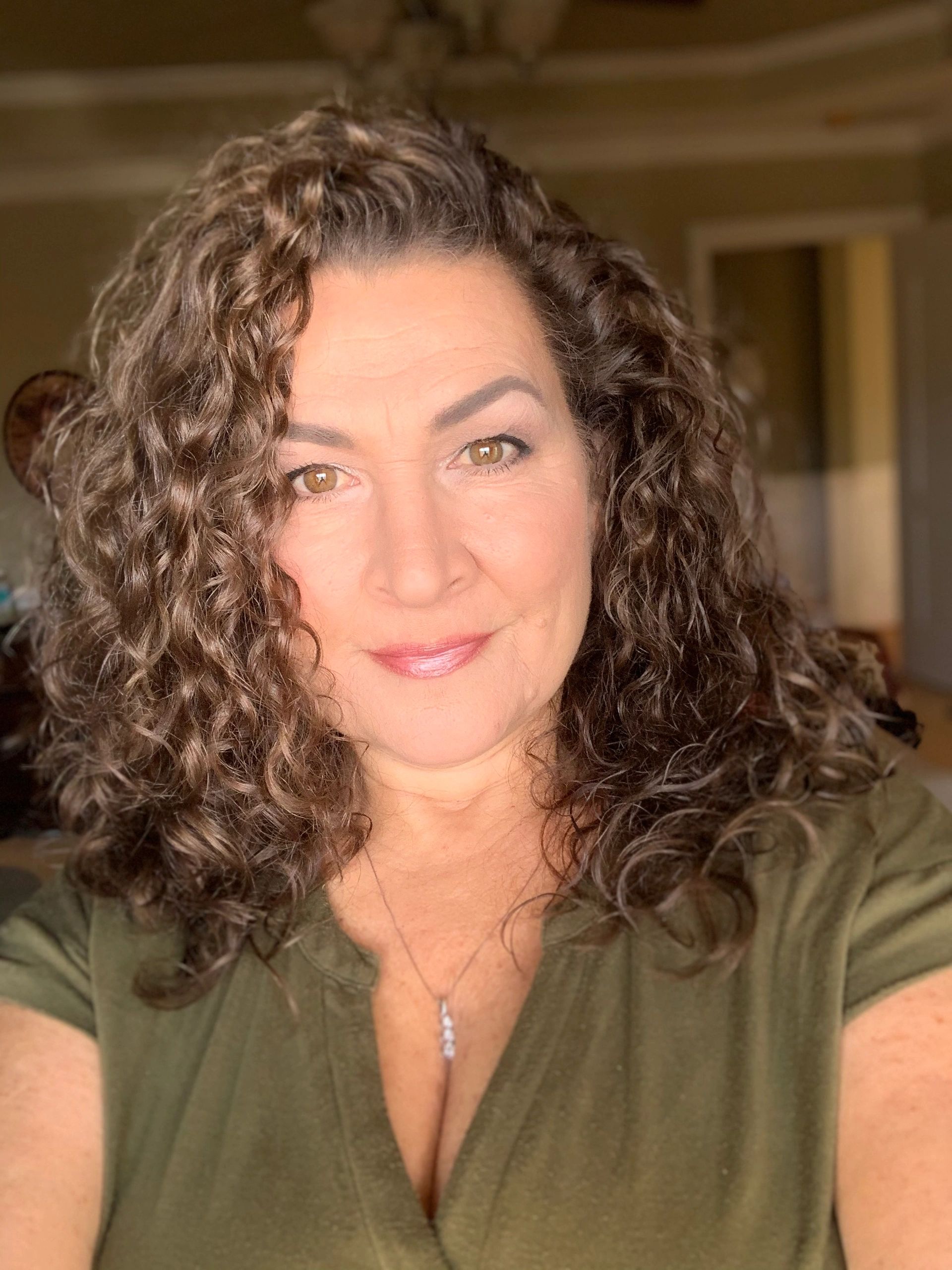 HANG MY CHRISTMAS LIGHTS FLORIDA in Tampa, Florida