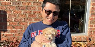 toy goldendoodle for sale toy golden doodle puppies goldendoodle puppies toy doodles sale
Virginia
