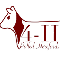 4-H Polled Herefords 