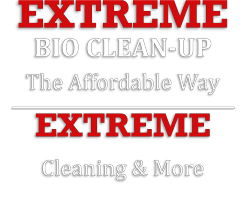 Extreme Cleaning and More