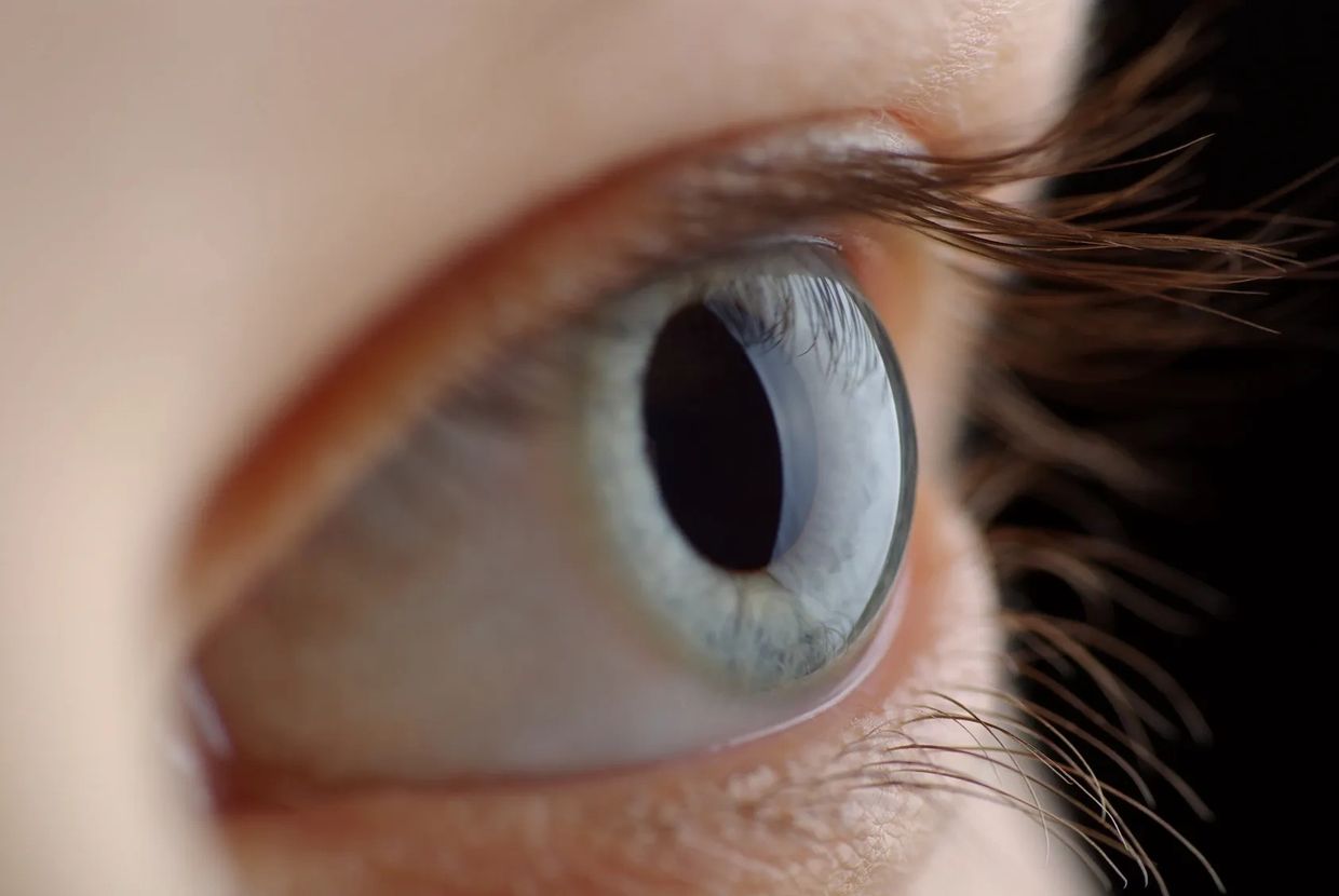 Closeup of an person's eye