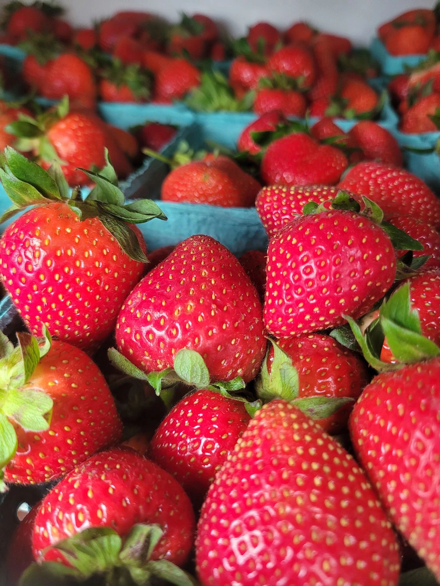Creekside Farm & Market Farm Market East Berlin, Pennsylvania
