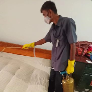 Bed bugs services 