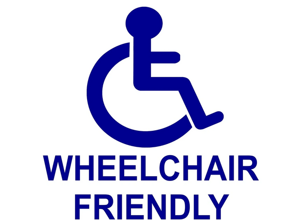Wheelchair friendly, a disabled person, the black cab tours, 