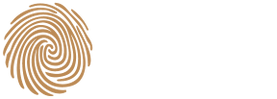 Chromatic Earth Pottery