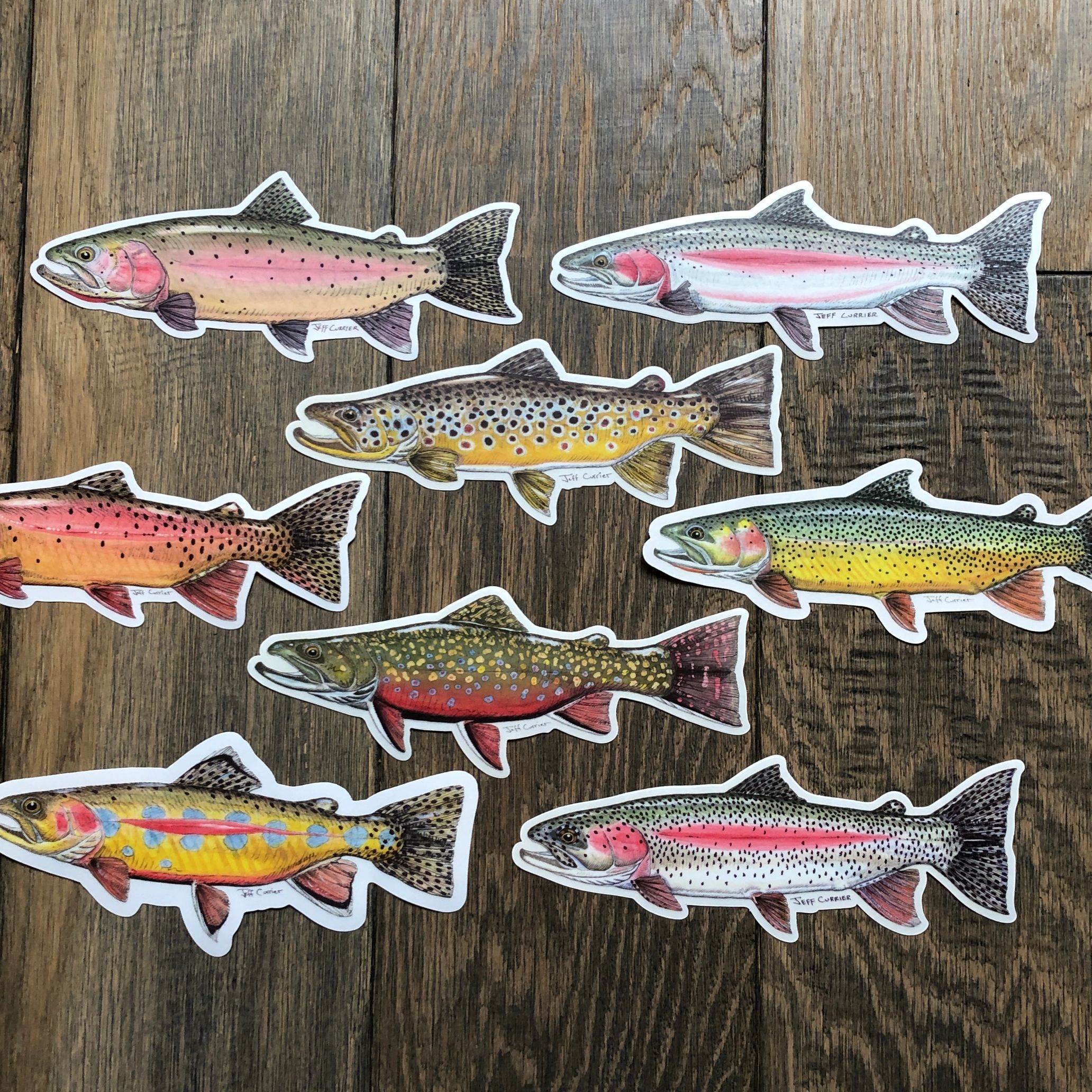  Jeff Currier Designed Trout Decals