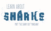 Learn About Sharks