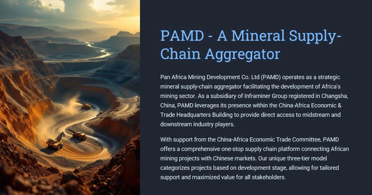 Investment in Mining Projects. 