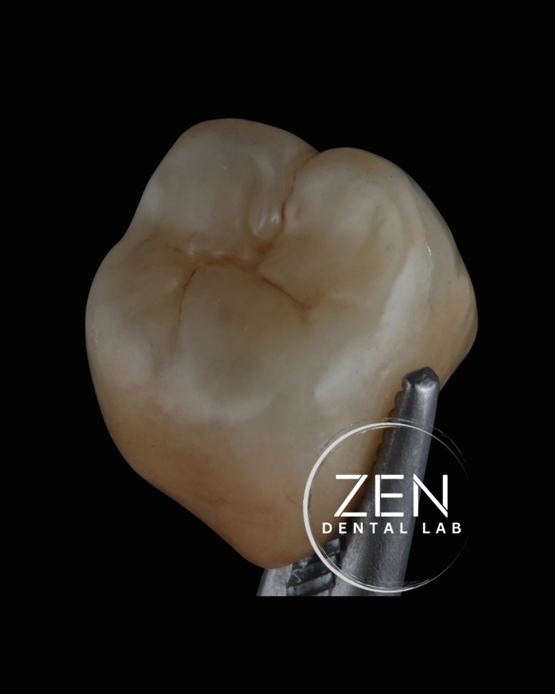 Close-up of a dental crown held by dental tools.