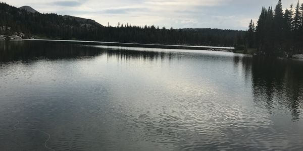 Experience fly fishing with my equipment.  Try it out before investing in new equipment.  I am here 