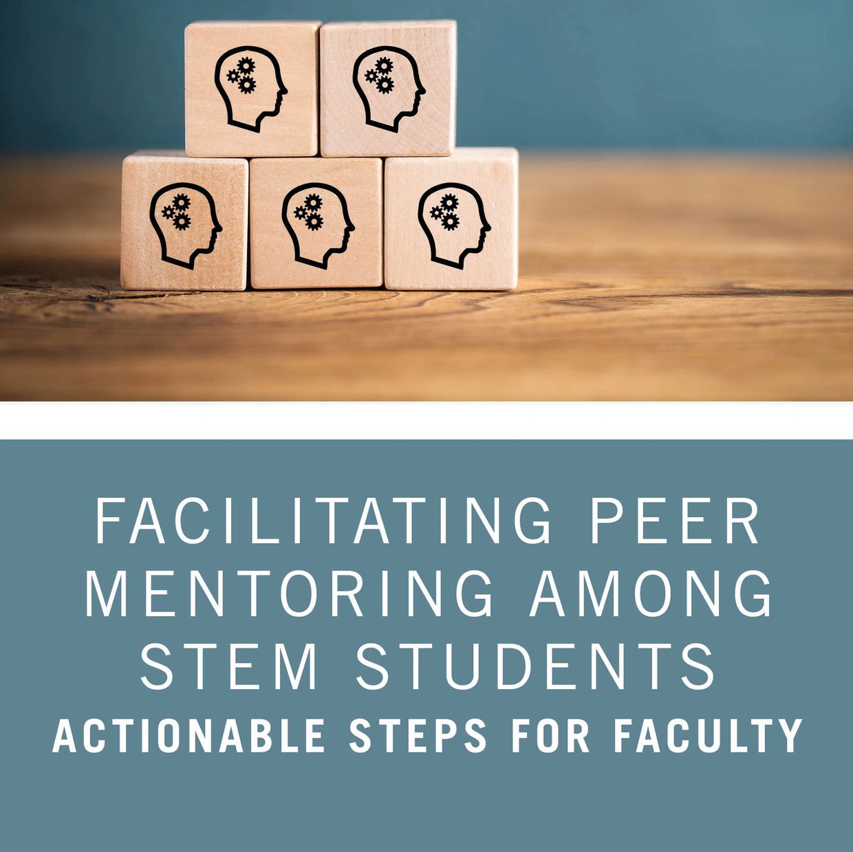 Facilitating Peer Mentoring Among STEM Students Book Cover
