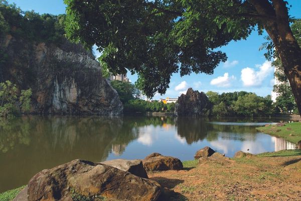 Bukit Batok Town Park HDB for sale