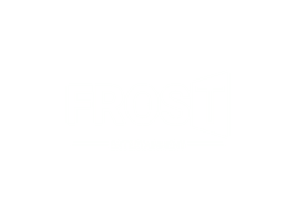 Frost Entertainment