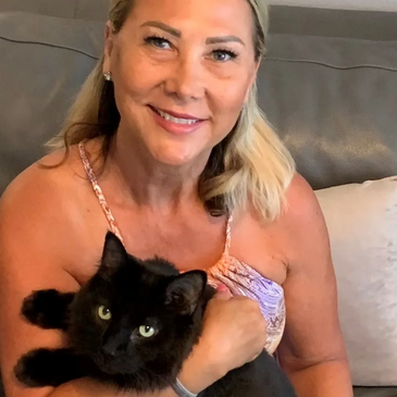 Professional pet sitter providing in-home cat care in Palm Harbor, FL