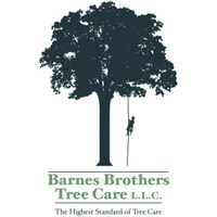 Barnes Brothers Tree Care