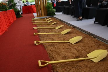 Golden shovels lined up for a groundbreaking ceremony.