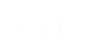 wild strokes
by selene legorreta