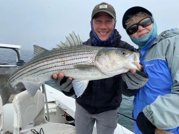 Chatham Striper
