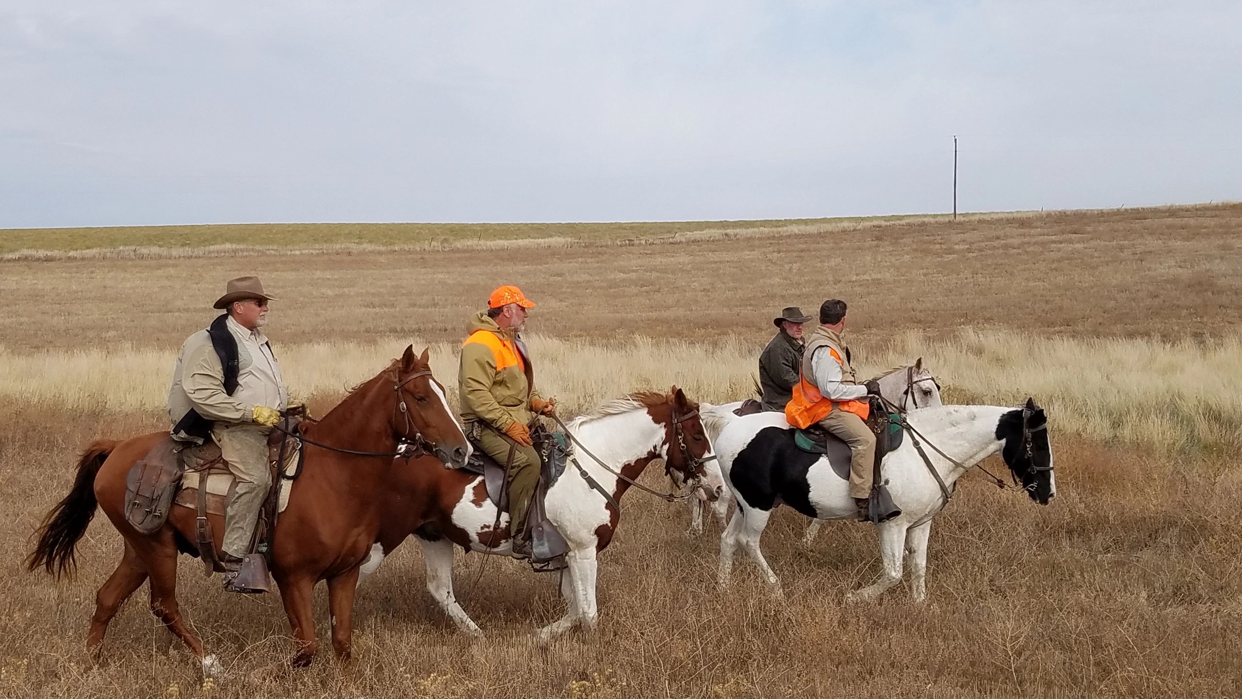 Straddle a saddle to find more wild bird hunting spots