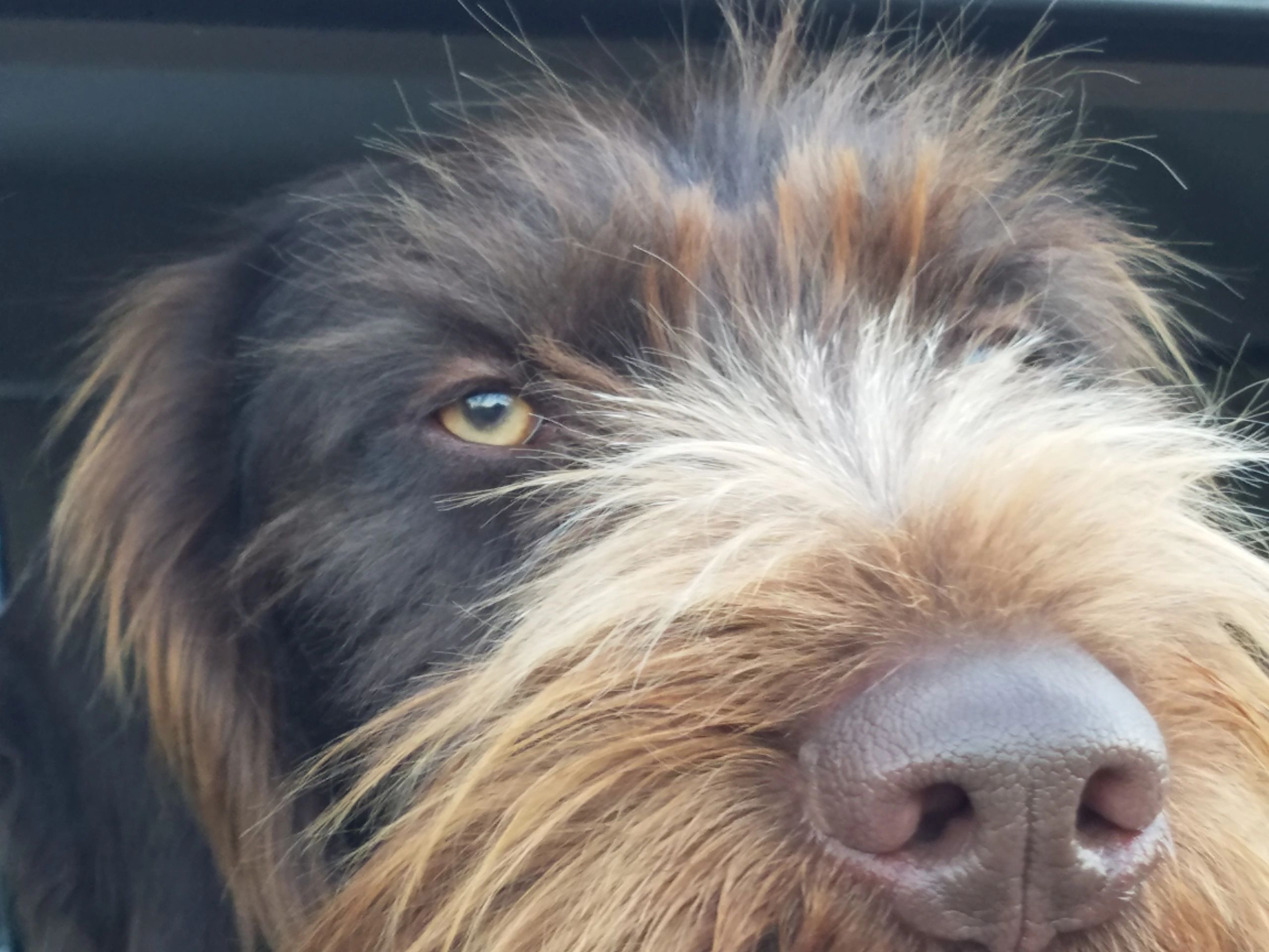 Tailgate exam part 1 why and how