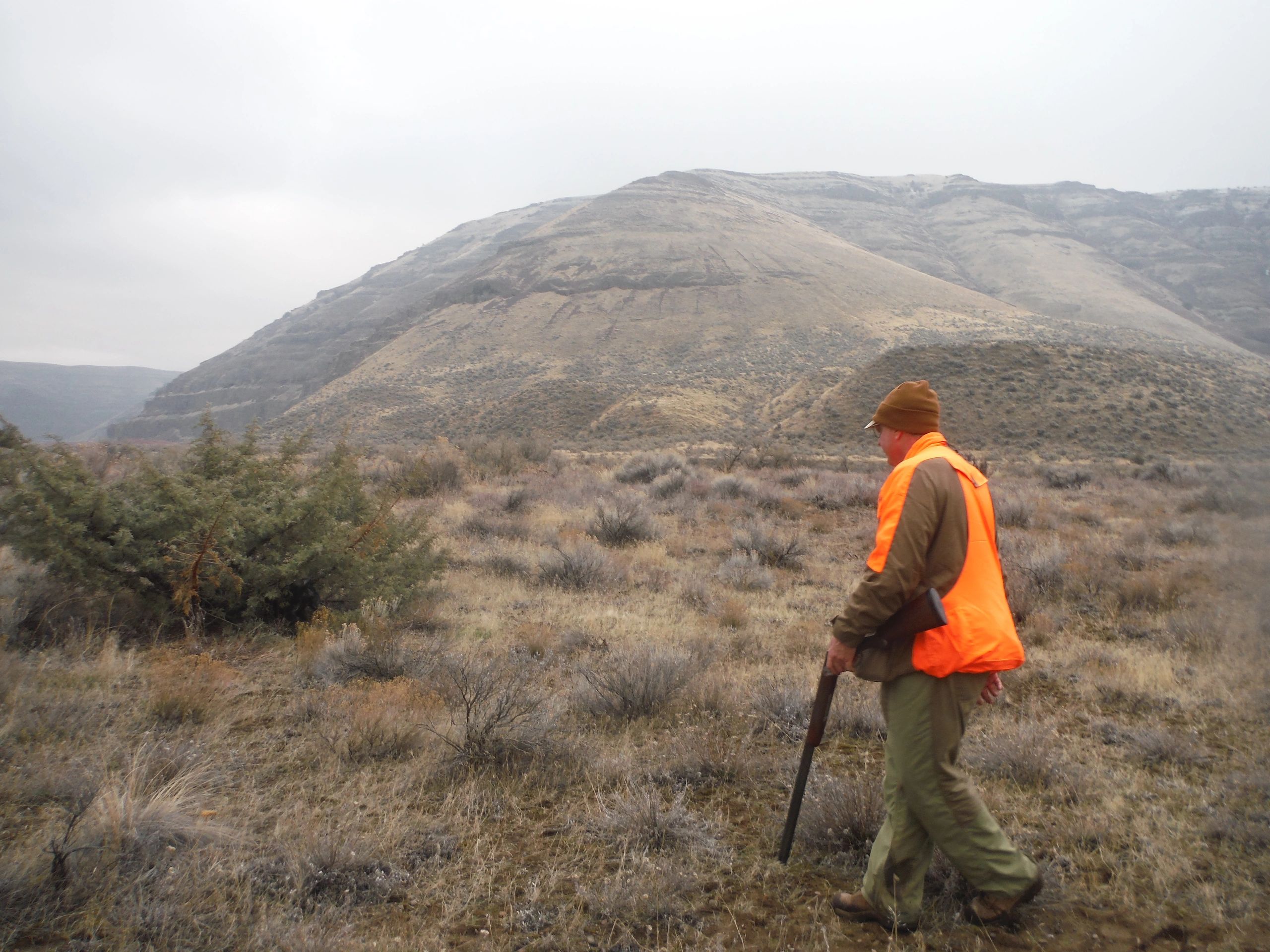 Where to find Nevada quail and chukar hunting