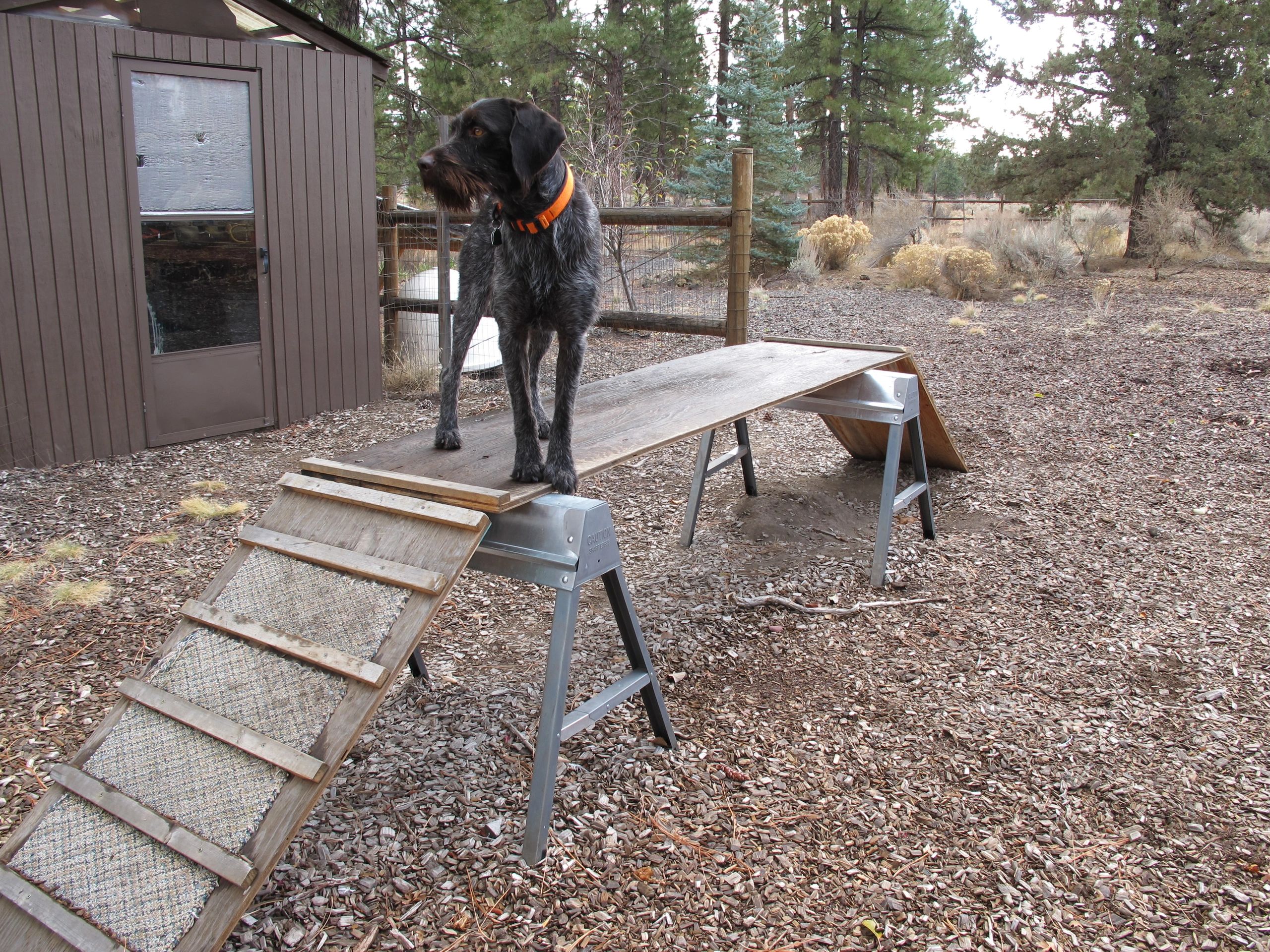 Tailgate exam, part 2 feet