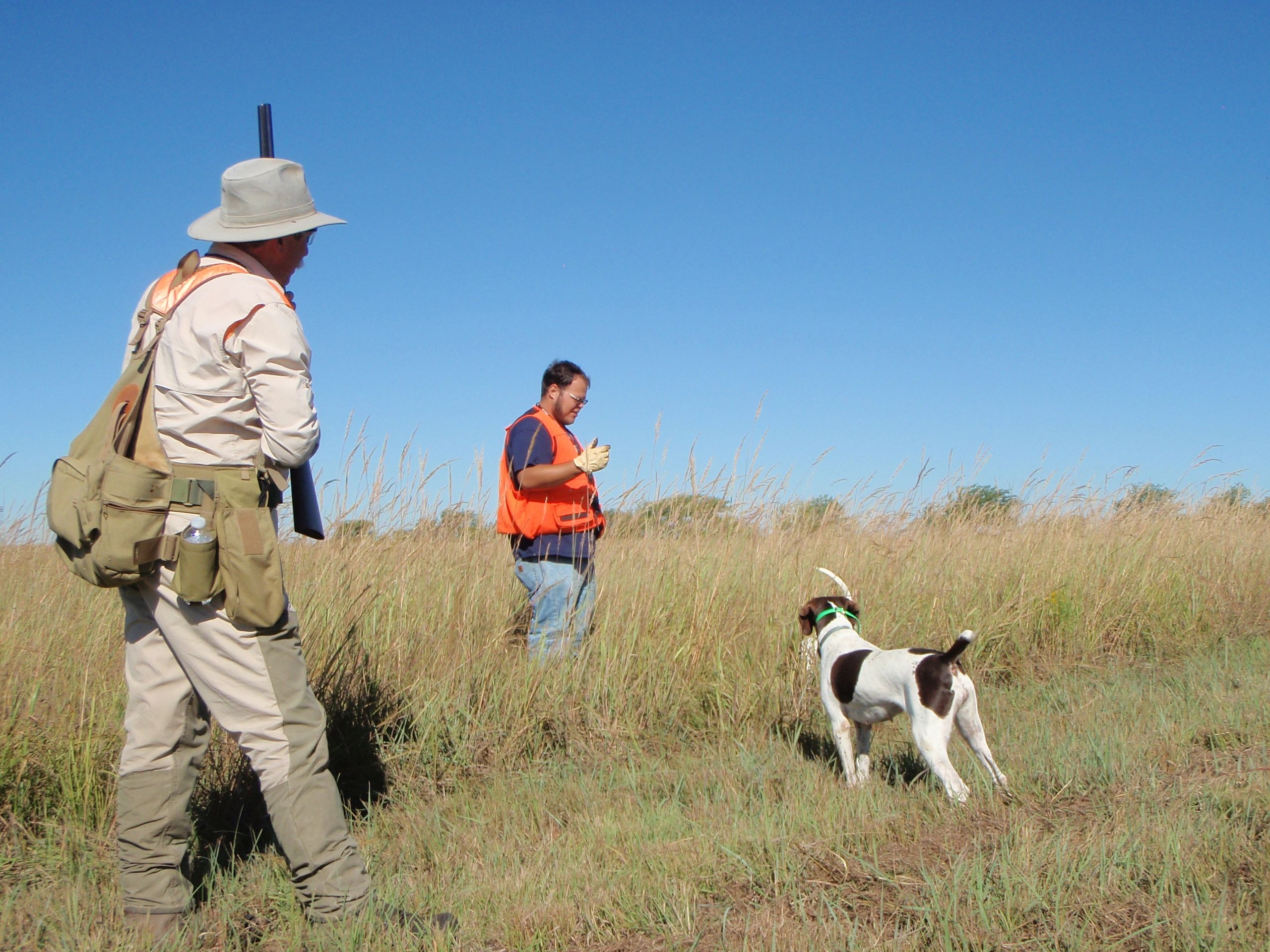 Make opening day epic for you and your bird dog