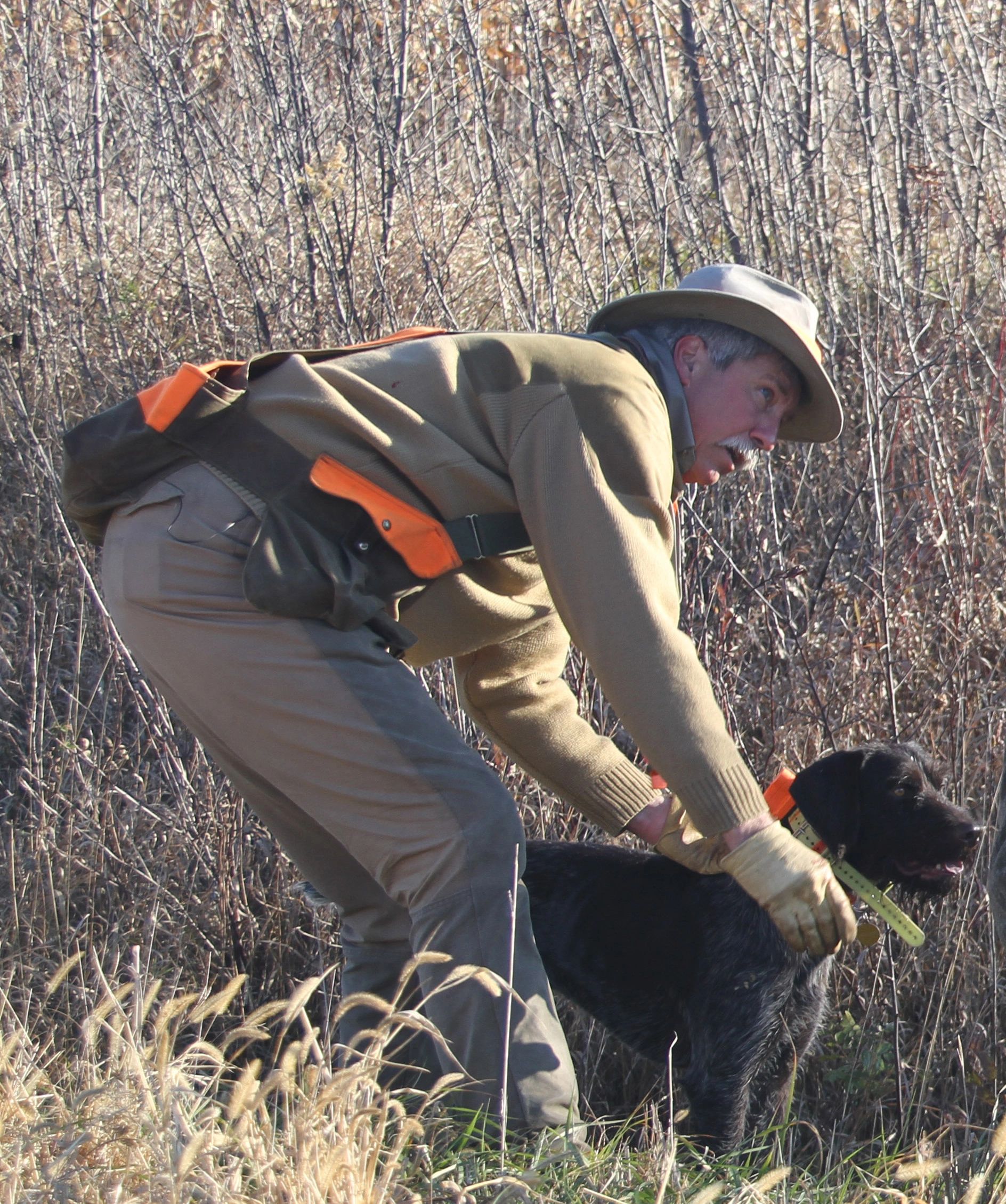 Hunting dog development and training we are the key