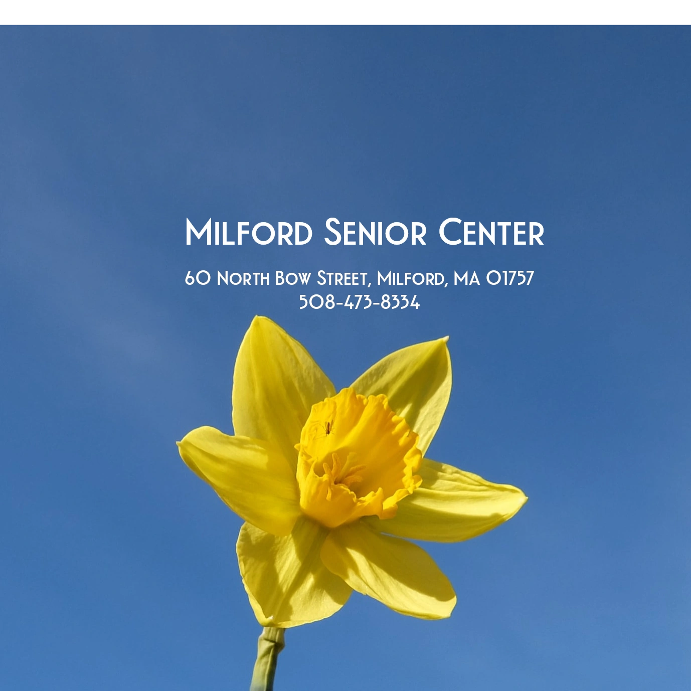 Milford Senior Center Senior Center