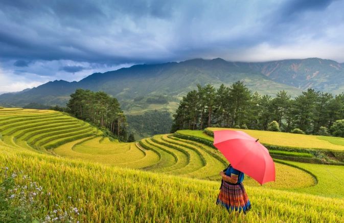 Red Umbrella in hillside