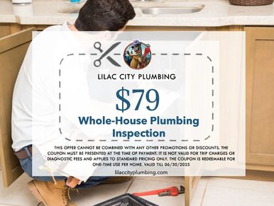 Plumber checking pipes under sink in the background. Offer: whole-house plumbing inspection $79

