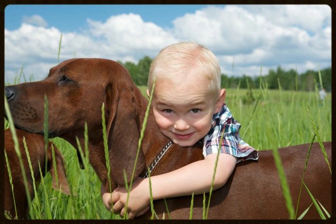 Redleaf Redbone Coonhounds Home