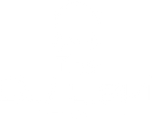 DJ Levi 