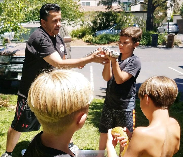CMC Reptiles - Reptiles, Parties