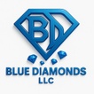 Blue Diamonds LLC     Consulting/Preparing your financial path