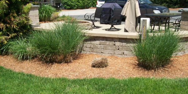 A well-maintained garden bed with ornamental grasses and green lawn in front of a patio.