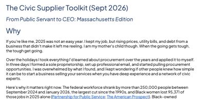 Excerpt from The Civic Supplier Toolkit detailing procurement experiences and challenges.