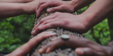 Many hands on one tree, representing community planning in Boston neighborhoods.
